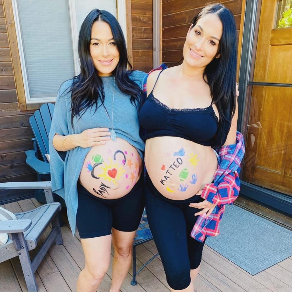 Twin Pregnancies Bella Twins Rise to Fame