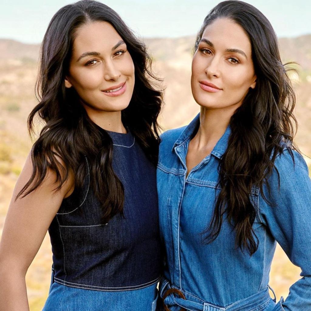 Returning to Their Roots Bella Twins Rise to Fame