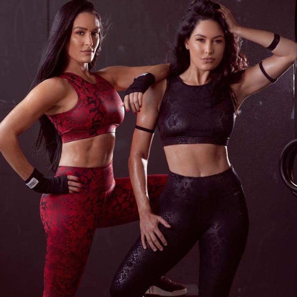 Didn't Get Along With Other Female Wrestlers Twins Rise to Fame