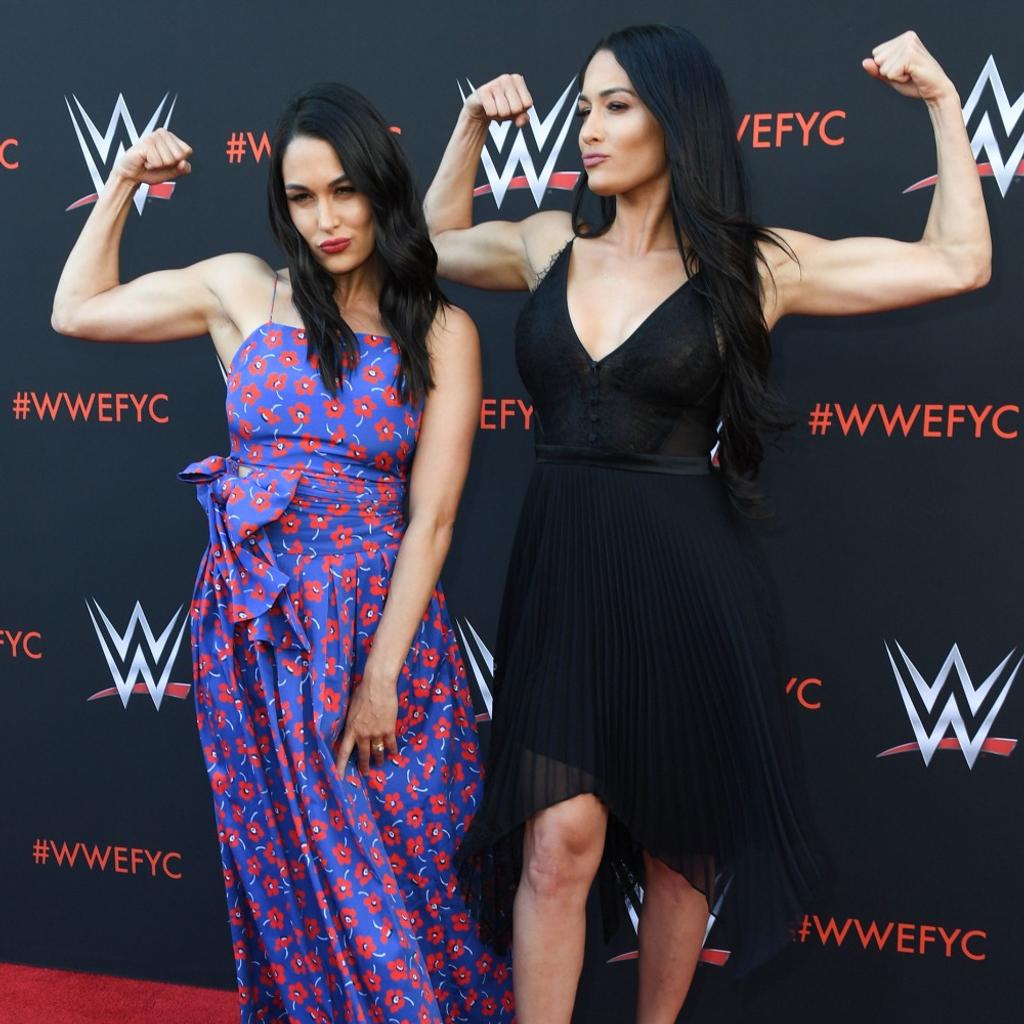 Journey to Fame Bella Twins Rise to Fame