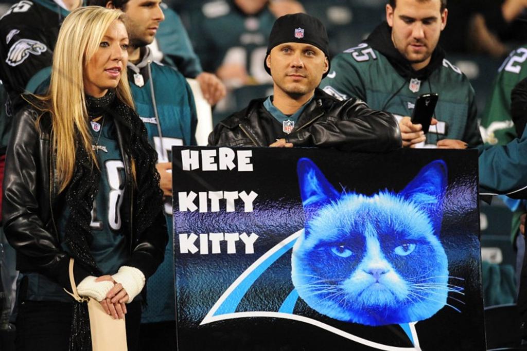 Here Kitty Kitty Funny NFL Signs