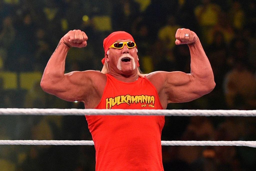 Hulk Hogan WWE Actor