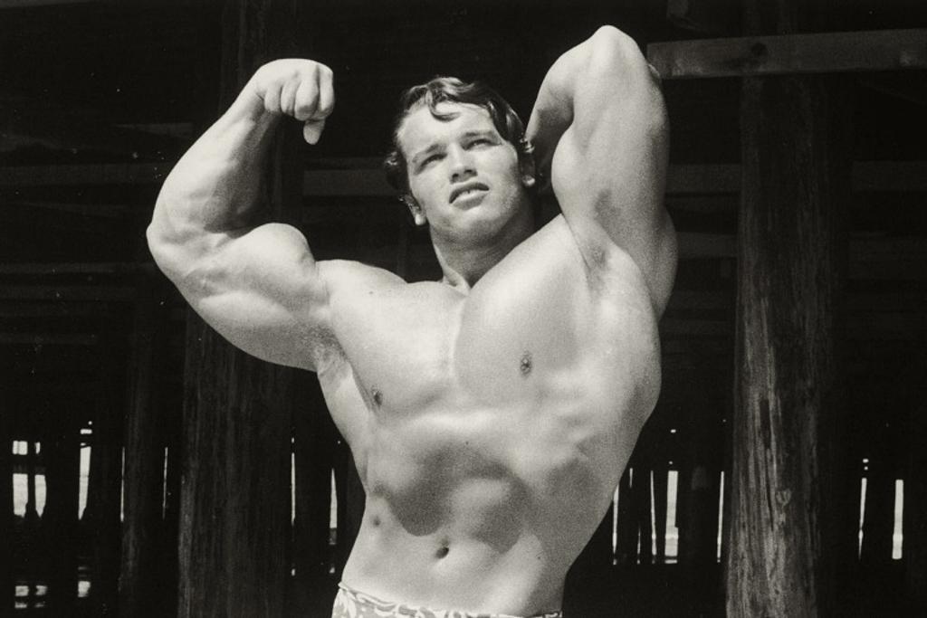 Arnold Schwarzenegger Bodybuilding Actor