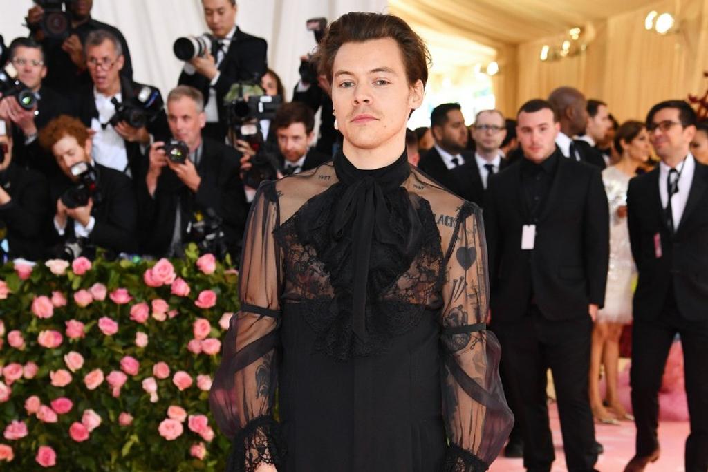 Harry Styles, Celebrity Dropouts
