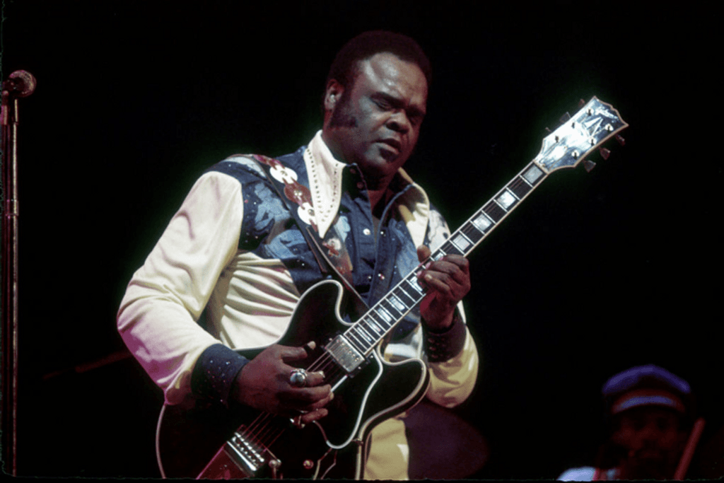 Freddie King, famous guitarists