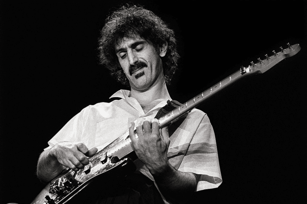 Frank Zappa, famous guitarists