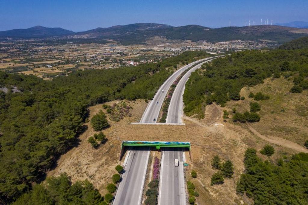 Ecological Highway Bridge Turkey