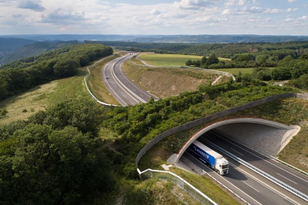Germany Longkamp Highway Ecoduct