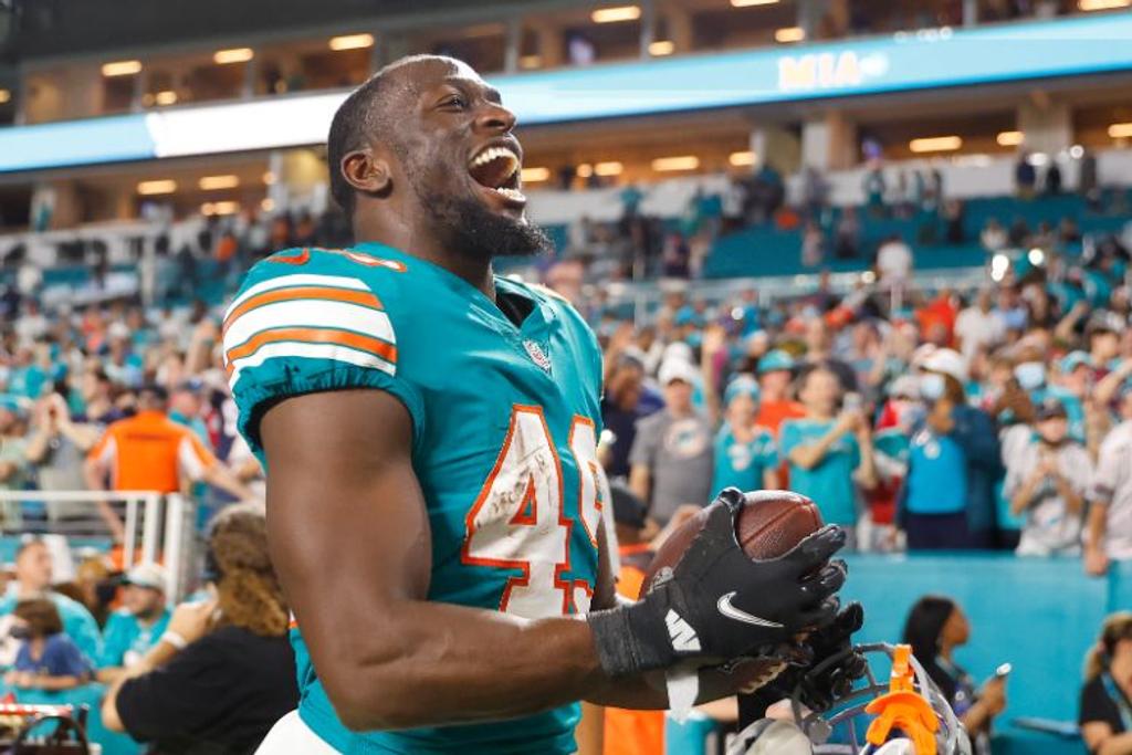 NFL Dolphins Victory Anthems