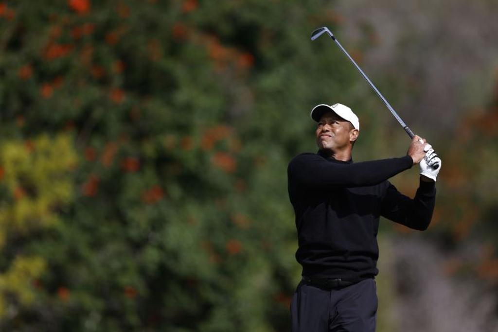 Tiger Woods Golf Career Comeback